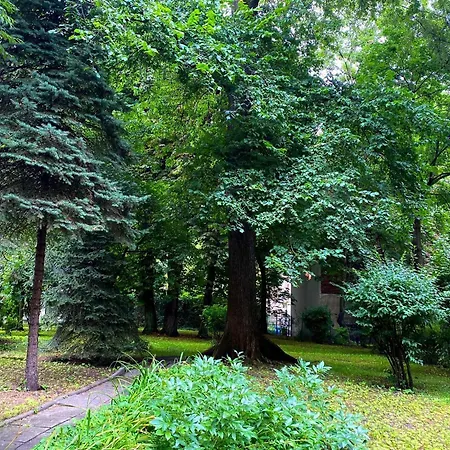 Comfortable In Old Town *