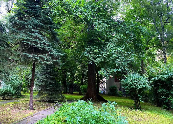 Comfortable In Old Town *